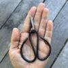 Scissors - Image 3