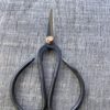 Scissors