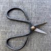 Scissors - Image 2
