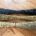 Broomcorn Bundle(s)
