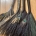 Turkey Wing Whisk Brooms at Spirit Alchemy Tattoo Studio: Sept 13, 2026